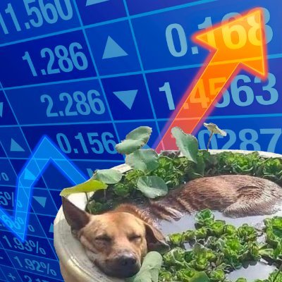 A dog asleep in a plant pot in front of a rising stock ticker